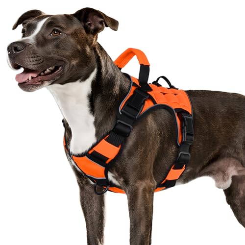 Orange Tactical Dog Harness for Medium Dogs (Orange / Medium: 30-50 lbs (Chest:24-28",Neck:17-19"))