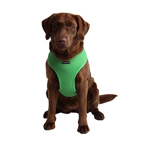 Soft Dog Harness No Choke Over (Green / XX-Large)