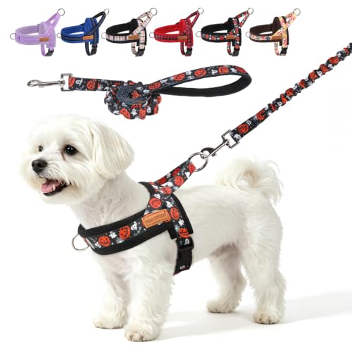 Small Dog Harness and Leash Set (Halloween Pumpkin / S: Chest 17.5"-22")