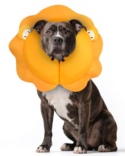 Inflatable Dog Cone (Lion / L(15"-20"))