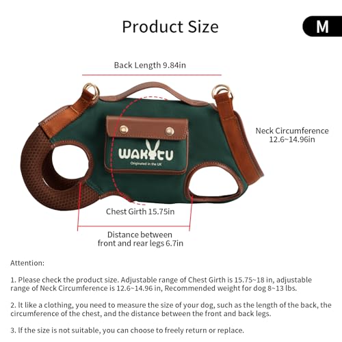 Dog Lift Harness Dog Carrier Sling for Small Dogs & Cats (Medium(8-13 LBS) / 1.0 Green)