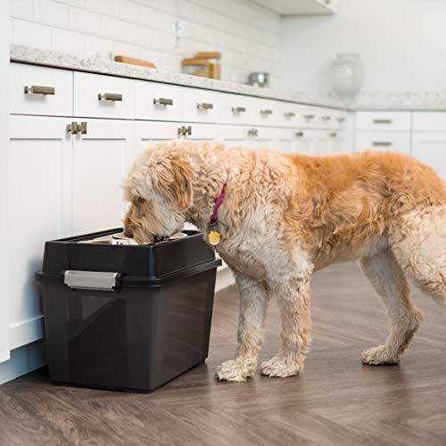 Elevated Dog Bowls 15" H (Large - 15"H w/ 2 Bowls / Smoke)