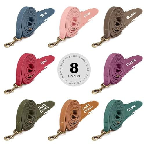 PU Leather Dog Leash for Small Dogs (Dark Green / 5/8''x 5FT)
