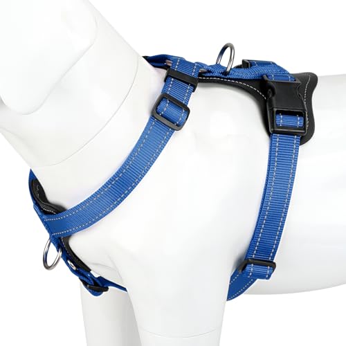 No Pull Dog Harness with Leather Accents (S / Royal Blue)