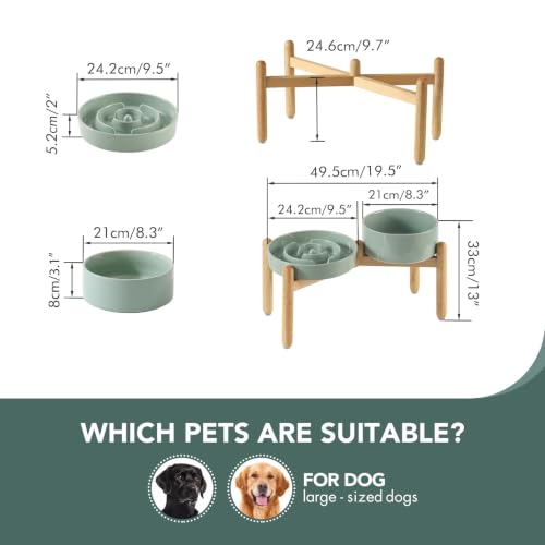 Elevated Slow Feeder Dog Bowls (Light Green)