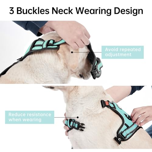 No Pull Dog Harness for Small Dogs (Turquoise / Small)