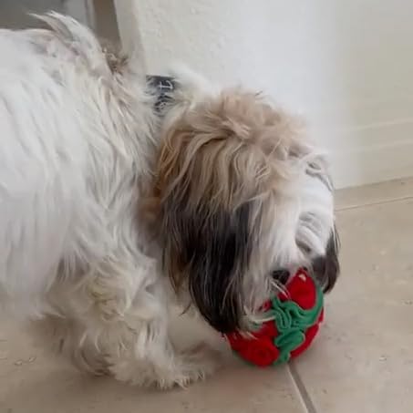 Medium Breed Snuffle Puzzle Ball Toy Christmas Green (Red and Green / Large)