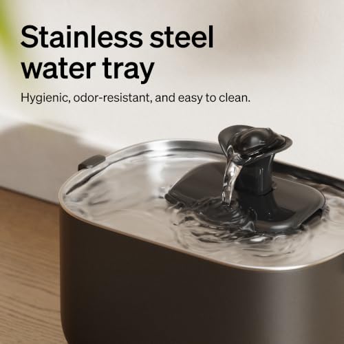 Small Dog Water Fountain (Black / 2.5 L)