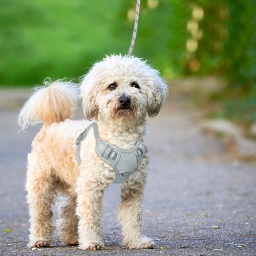 Dog Harness for Small Sized Dog No Pull Dog Vest ID Tag Pocket (Grey / Small)