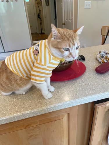 Turtleneck Dog Shirt Cute Doggie Embroidery Super Soft Dog Sweatshirt Stretchy Striped Puppy Pullover for Cats Small Medium Large Dogs (Yellow Striped / X-Large)