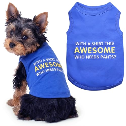 Dog T-Shirt - Embroidered “ Awesome “ Dog Shirt - Pure Cotton and Lightweight Pet Clothes - Blue Sleeveless Pet Tee Shirts - Cute Puppy Clothes - Shirts for Small Dogs Boy - XS (XS)