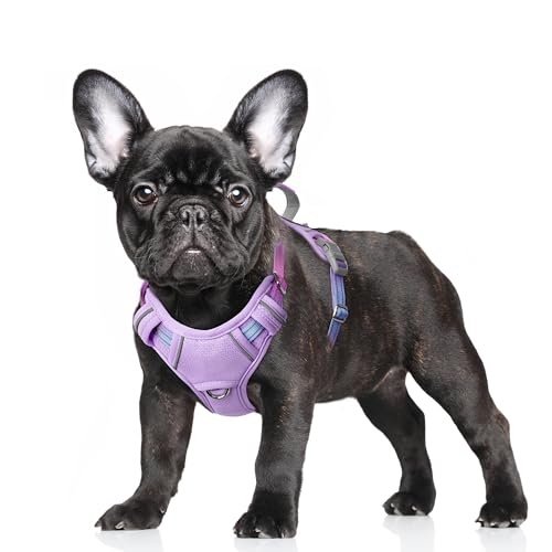 Dog Harness for Small Sized Dog No Pull Dog Vest ID Tag Pocket (Lavender Sky / Small)