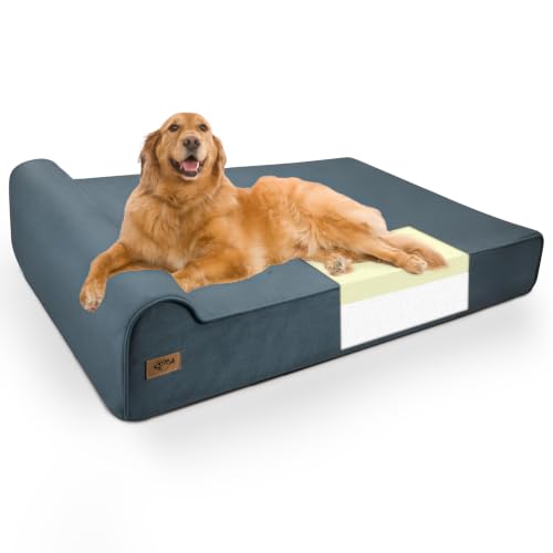 XXL 35D Memory Foam Dog Bed for Extra Large Dogs (XX-Large / Blue Grey)