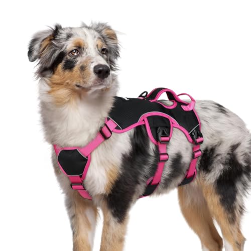 Escape Proof Dog Harness for Medium (Rose & Black / Medium)