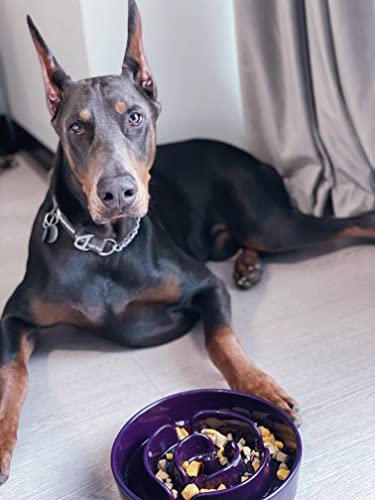 Slow Feeder Dog Bowls Ceramic (Maze Purple / L-3 Cups)