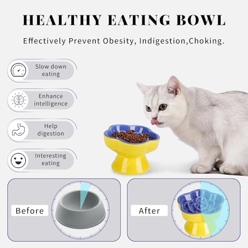 Raised Slow Feeder Cat Bowl (5.8" / Blue)