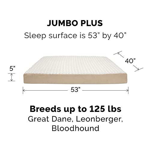 Orthopedic Dog Bed for Large Dogs w (Jumbo Plus / Minky Cream)