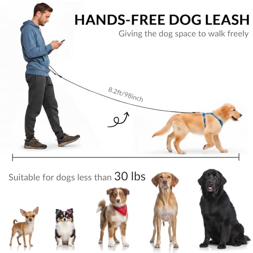 8.2ft Hands Free Dog Leash (Black)