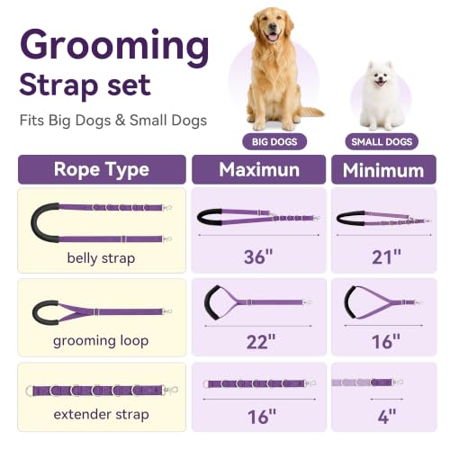 H Shape Dog Grooming Arm for Table