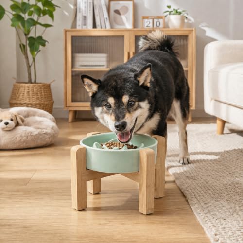 Elevated Slow Feeder Ceramic Dog Bowls 8.26in (Light Blue / 8.26in)