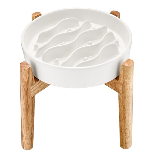 Ceramic Slow Feeder Dog Bowls Elevated (White + Stand / 8 Inches)
