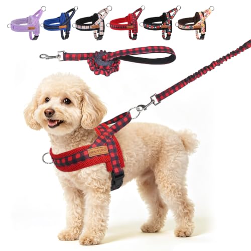 Dog Harness Medium Sized and Leash Set (Buffalo Red / M: Chest 21"-26.7")