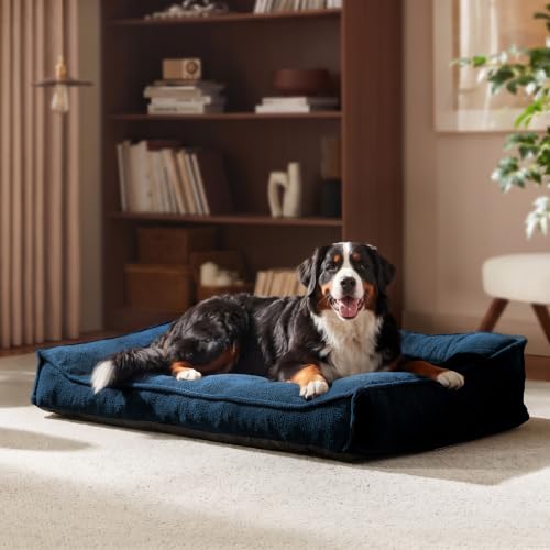 XXL Orthopedic Dog Beds Large Sized Dog (Blue / 45"L x 32"W x 9.5"Th)