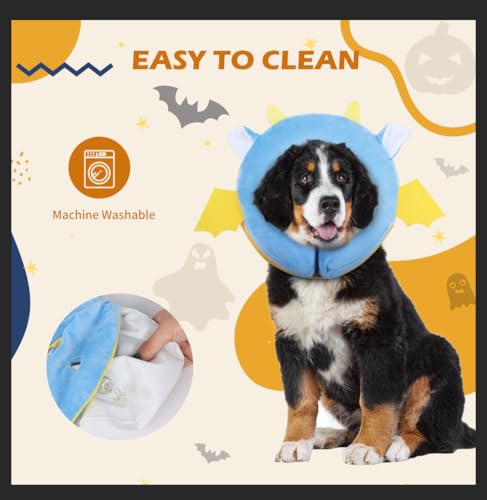 Inflatable Recovery Dog Collar (Vampire / Medium (Neck:8''-10''))