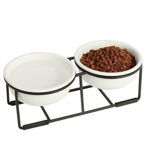 Ceramic Elevated Dog Bowl Set (Matte White / S × 2)