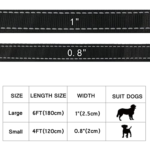 USB Rechargeable LED Dog Leash