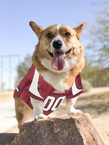 NFL NFC West Mesh Jersey for Dogs (X-Small / Arizona Cardinals)