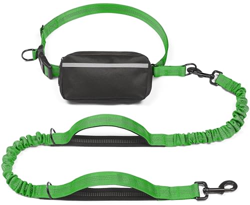 Hands Free Dog Leash with Zipper Pouch (Emerald / Large)