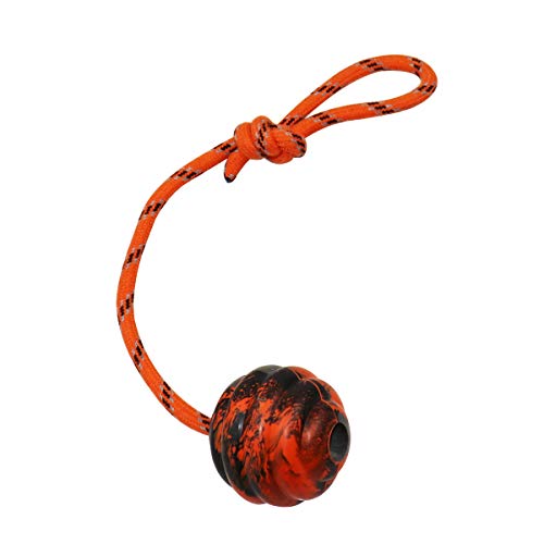2Pcs Dog Training Ball on Rope (2pcs)