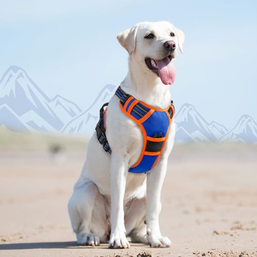 Dog Harness for Large Dogs (Large / Blue & Orange)