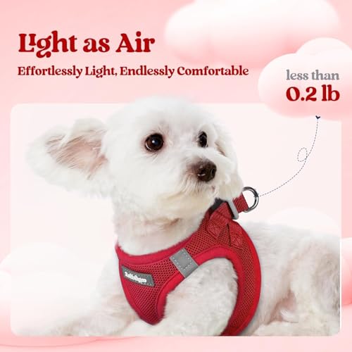 Dog Harness Medium Sized and Leash Set (Red / L (chest: 18.2 - 20.5"))