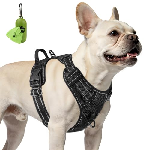 No Pull Dog Harness for Small Dogs (Small / Black)