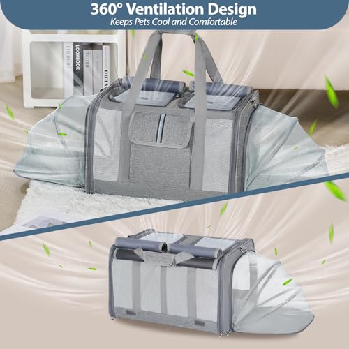 Cat Carrier for 2 Cats
