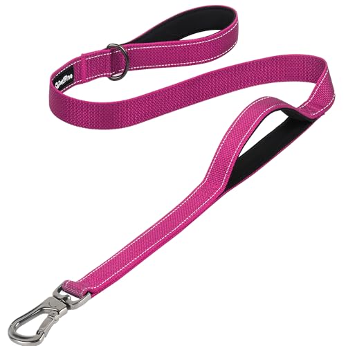 4FT Heavy Duty Dog Leash with Soft Padded Double Handle (4 FT x 1 in Wide / Rose)