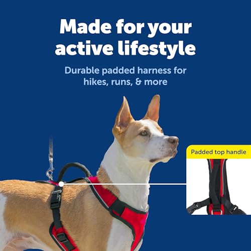 EasySport Dog Harness (Medium / Red)