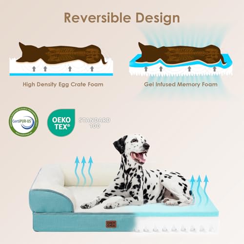 Orthopedic Dog Bed (Turquoise Blue / 30.0"l X 20.0"w X 6.5"th)