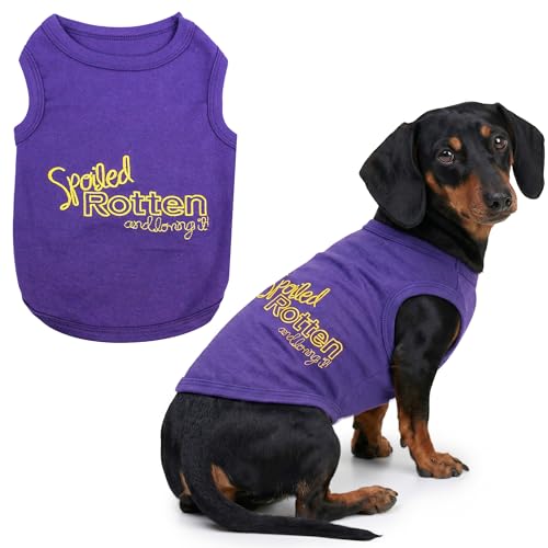 Dog Shirt 100% Cotton Shirts for Large Dogs (Extra Large / Spoiled Rotten)