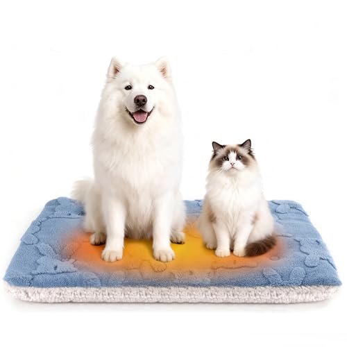 Self Warming Cat Bed (L - 36 X 23 Inch)
