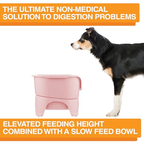Express Mess Proof Dog Bowls Elevated for Medium and Large Breed (Medium to Large w/ 9 Peak Slow Feed Bowl / Pink)