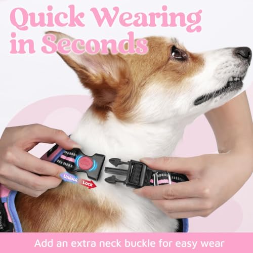 Dog Harness for Large (Light Pink & Blue / X-Large)