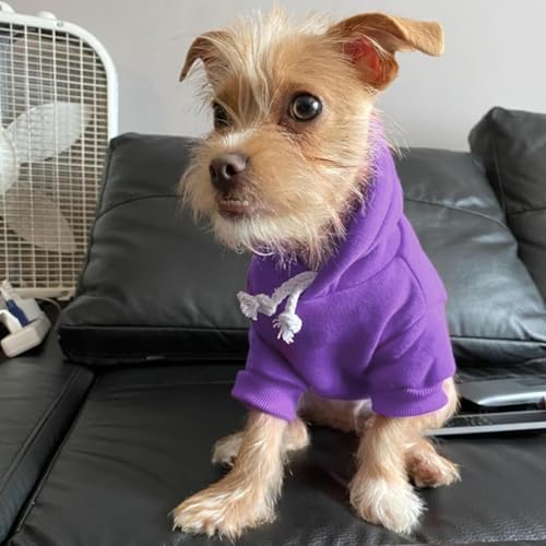 Dog Hoodie for Medium Dogs (#2 Purple(Plain) / Medium (All Breed Sizes))
