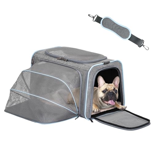 Large Expandable Cat Carrier for Travel (19.0"L x 12.0"W x 12.0"H / Light Gray)
