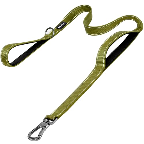 5FT Heavy Duty Dog Leash with Soft Padded Double Handle (5 FT x 1 in Wide / Green)