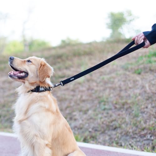 Short Dog Leash 24" (Black / 24 Inches)