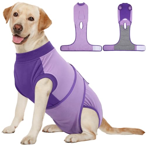 Dog Recovery Suit (Purple / XX-Large)