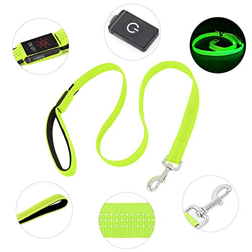 LED Dog Leash (GreenⅢ)